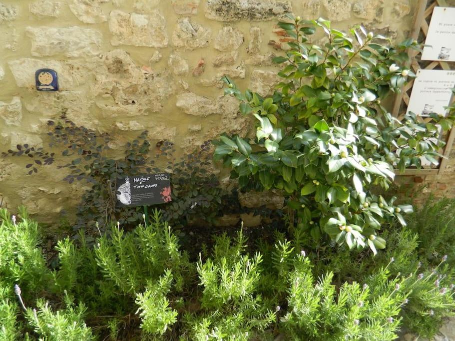 Apartamento Casa Dell'Oliveto "Parcheggio Gratuito" Narni Exterior foto