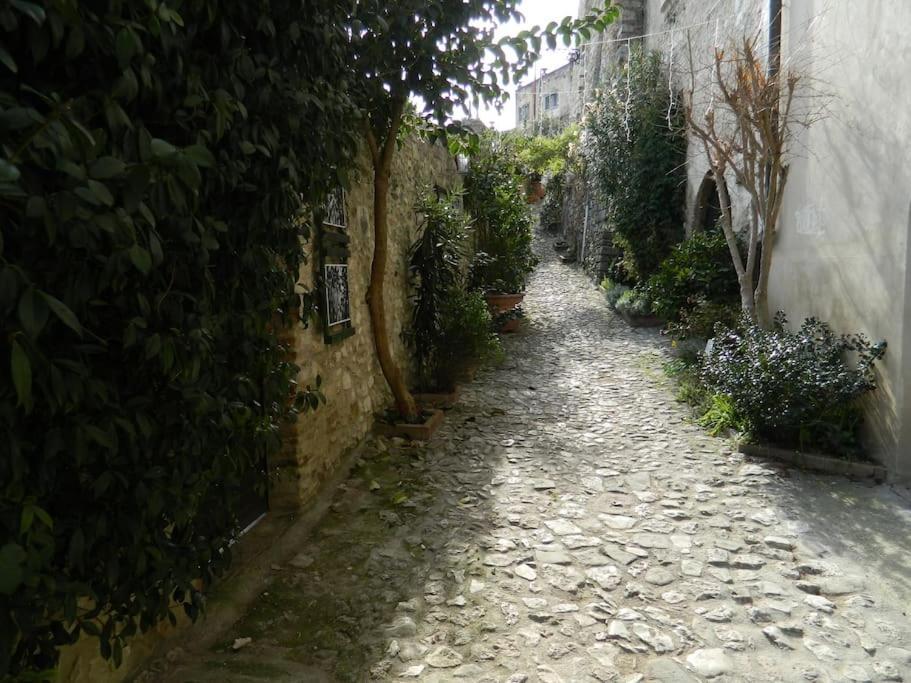 Apartamento Casa Dell'Oliveto "Parcheggio Gratuito" Narni Exterior foto