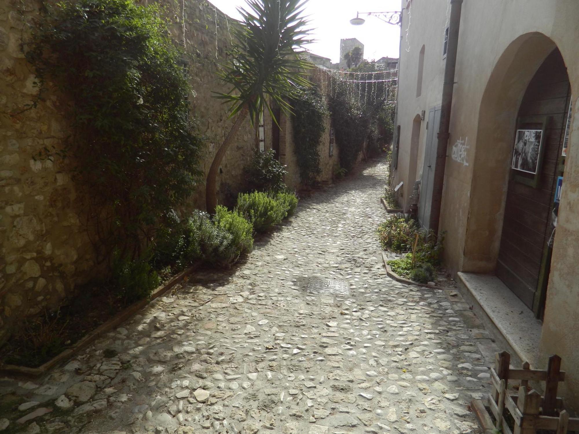 Apartamento Casa Dell'Oliveto "Parcheggio Gratuito" Narni Exterior foto