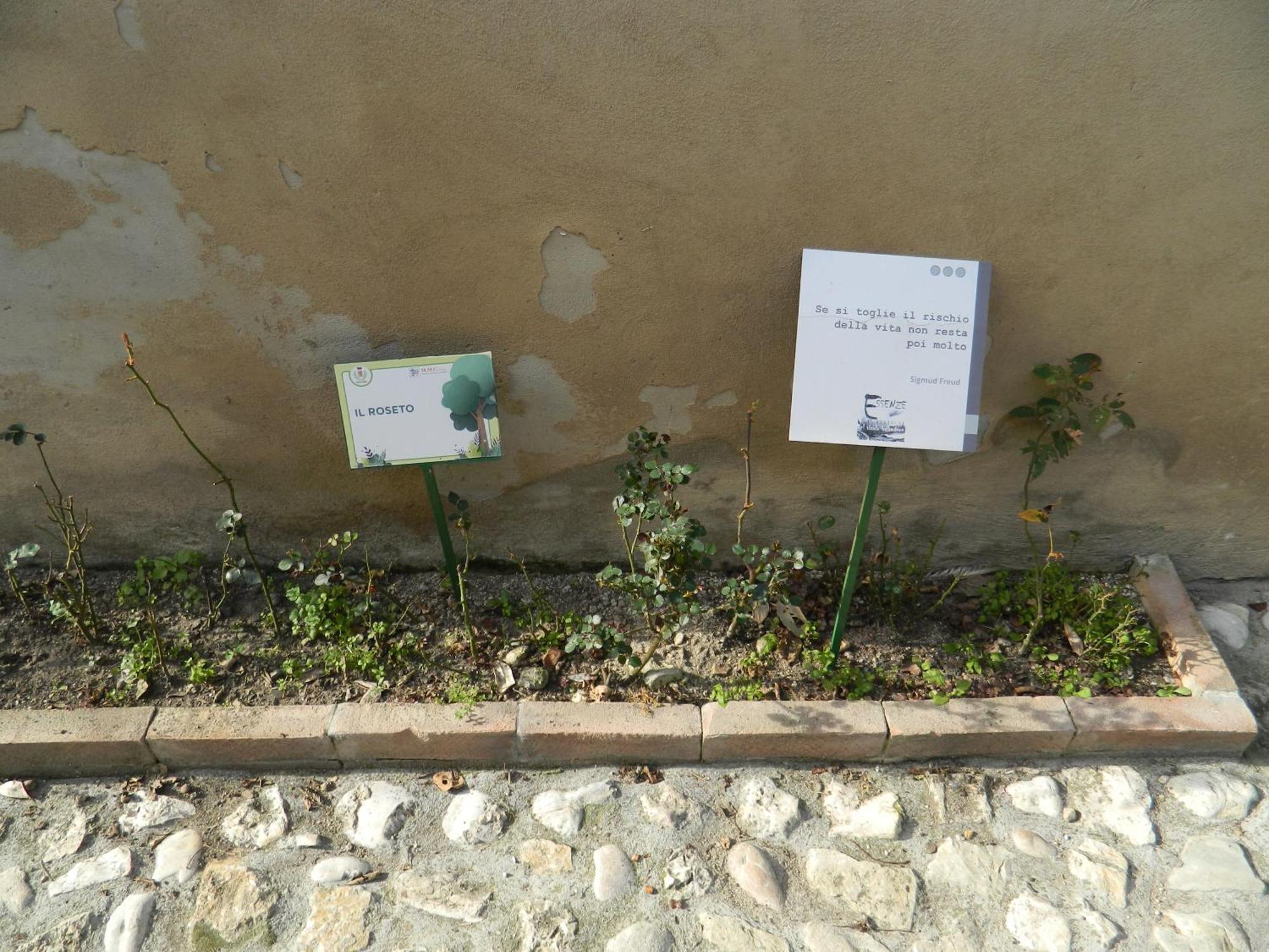 Apartamento Casa Dell'Oliveto "Parcheggio Gratuito" Narni Exterior foto