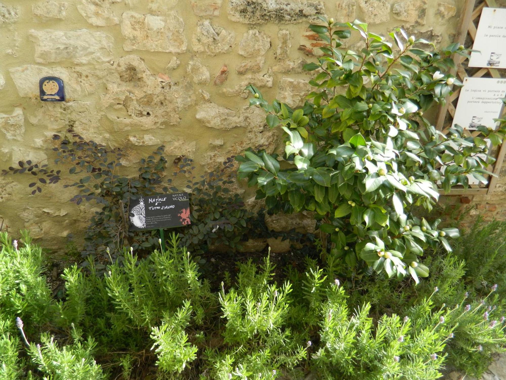 Apartamento Casa Dell'Oliveto "Parcheggio Gratuito" Narni Exterior foto